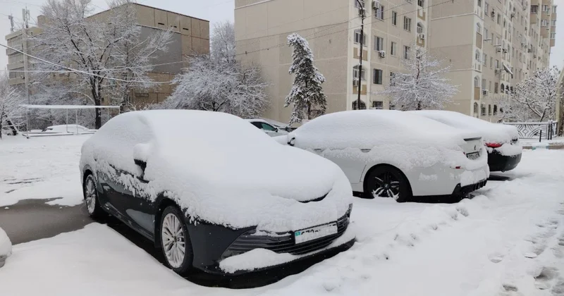Морозы не отступят: какой будет погода на этой неделе