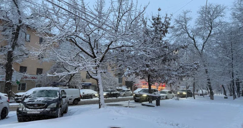 Қар аралас жаңбыр: ТЖД алматылықтарға ескерту жасады