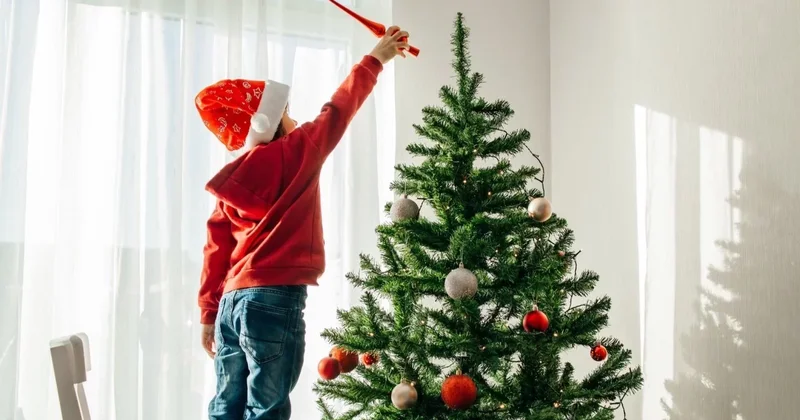 Почти две недели отдыха: новогодние праздники хотят продлить в КР