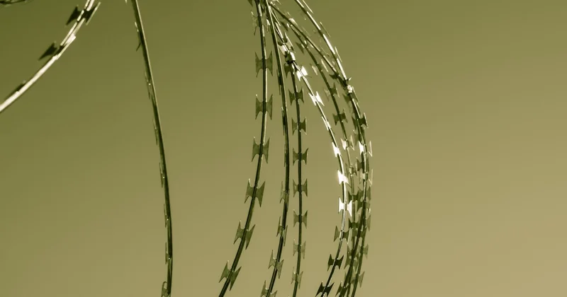 Граждан Казахстана, Кыргызстана и Узбекистана освободили из рабства в Мьянме