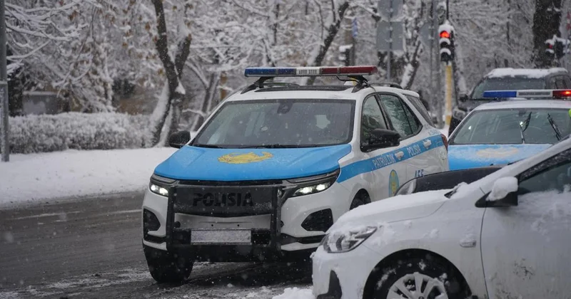 МВД Казахстана сделало заявление о приманке на дороге