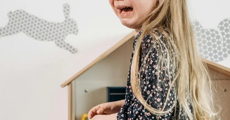 Акмолинец получил пожизненный срок за преступление против ребенка