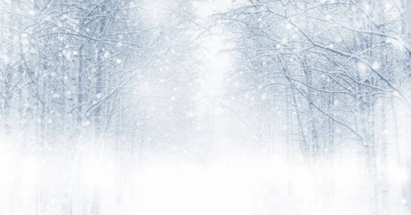 Ақтүтек боран, саршұнақ аяз: Демалыс күндері елімізде ауа райы қандай болады?