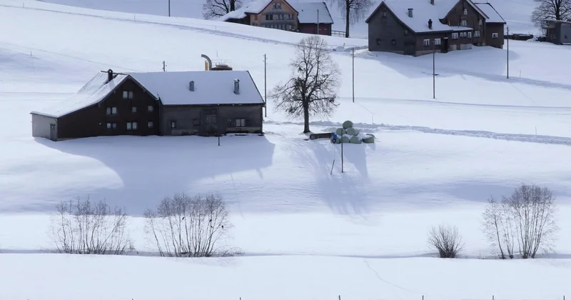 Пенсионерка скончалась от переохлаждения в Петропавловске