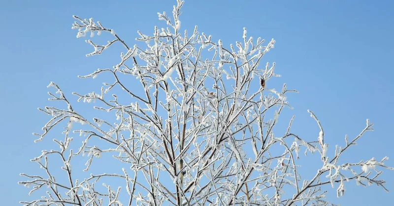 Морозные выходные ожидают казахстанцев