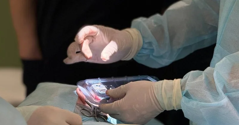 Шымкентте дәрігерлер ішегі бірнеше жерден тесілген азаматты аман алып қалды