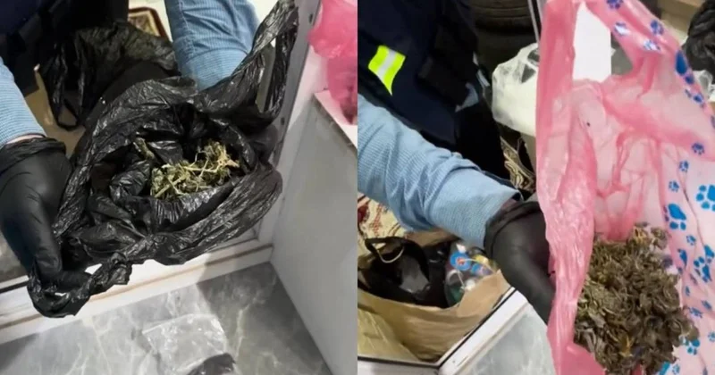 Хранила на кухне и балконе: наркотики нашли в квартире у жительницы Астаны (видео)