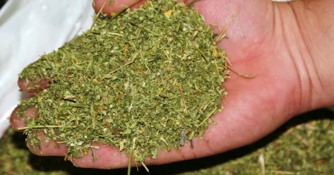 Крупную партию наркотиков изъяли у жительницы Астаны