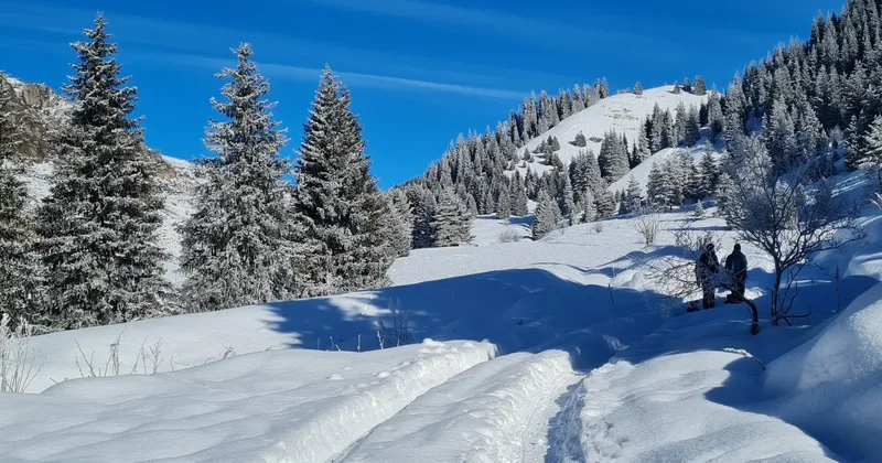 Спасатели просят жителей Алматы не ходить в горы