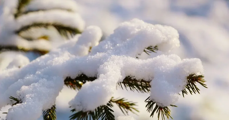 Прогноз погоды на 17 января: снег и мороз пришли на юг Казахстана