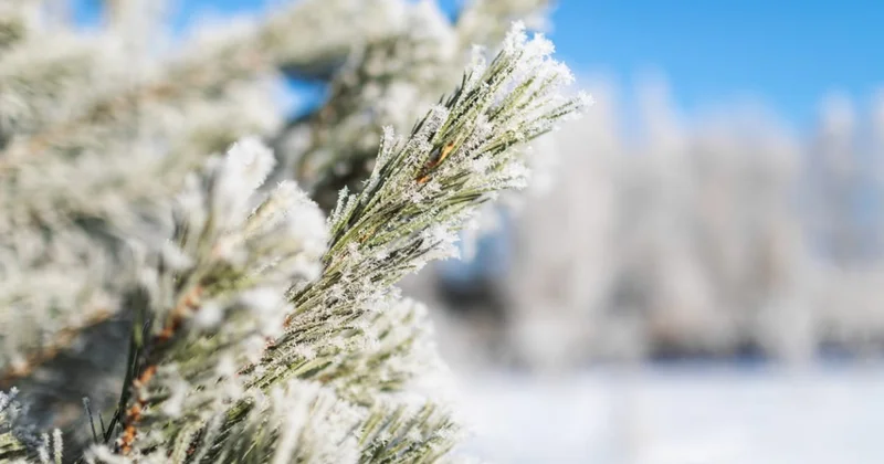 Астану ждут устойчивые крещенские морозы