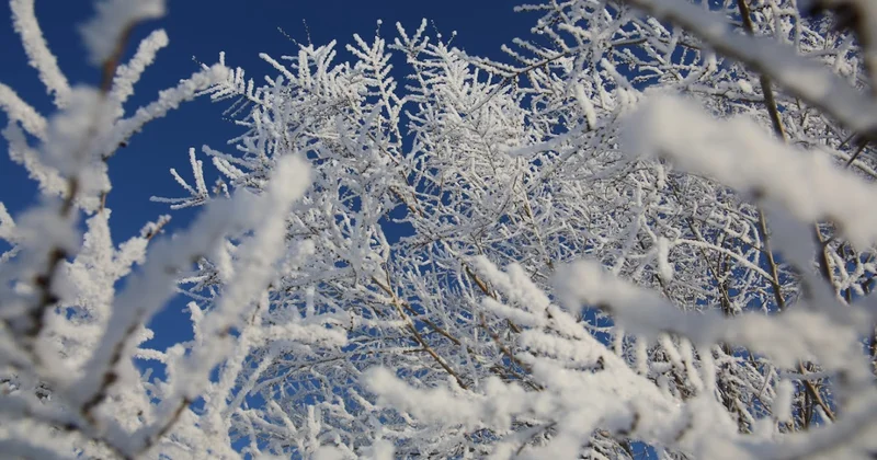 Какая погода будет на выходных
