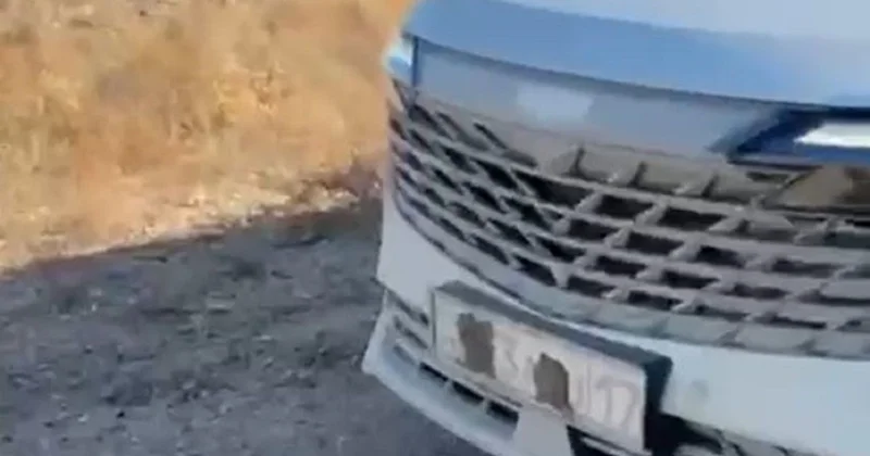 Казахстанец замазал грязью госномер и лишился прав (видео)