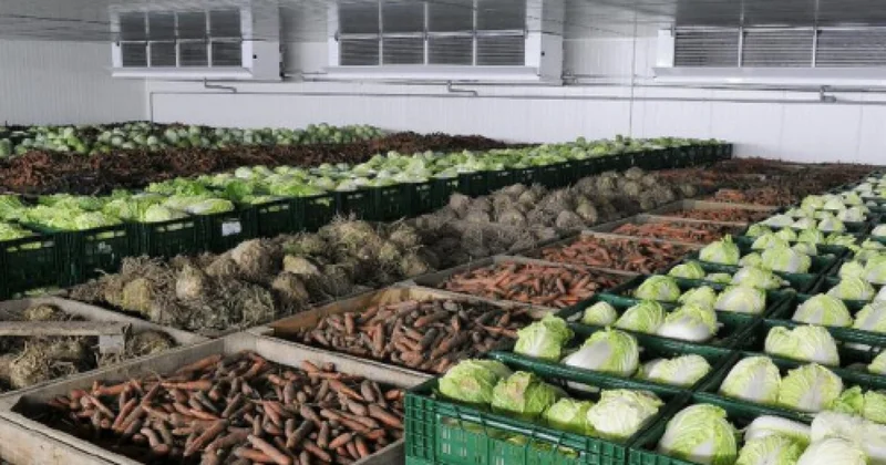 Логистикалық орталық көкөніске толады