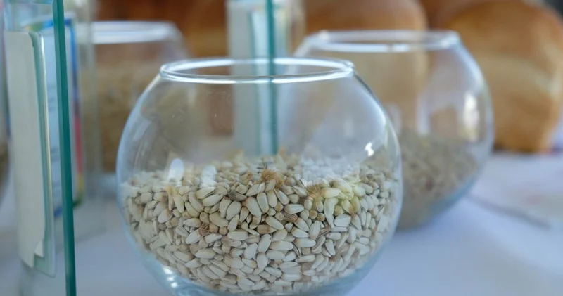 Наука как прикрытие