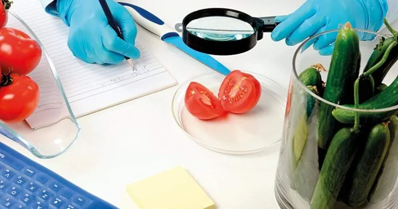 СҚО да қауіпті вируспен зақымданған томаттың партиясы жойылды