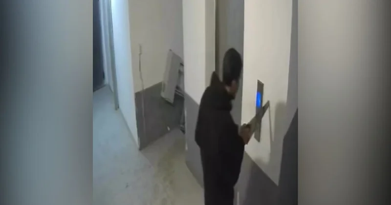 Береке ықшамауданында қолына ара ұстаған ер адам ұсталды