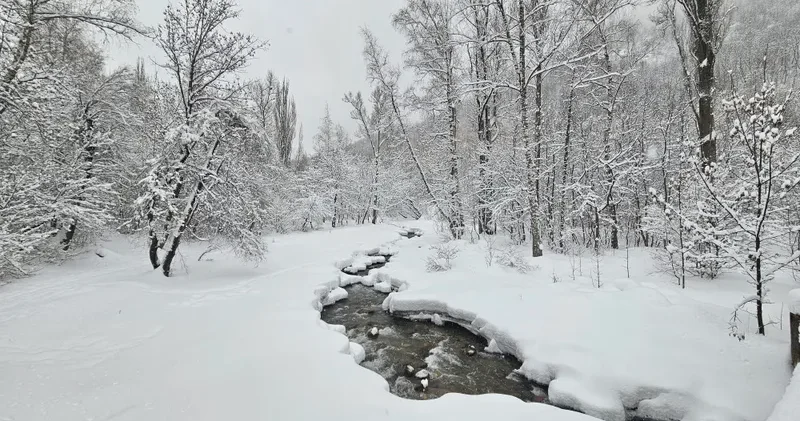 Қазгидромет ескертті: елде боран мен қатты жел күтілуде