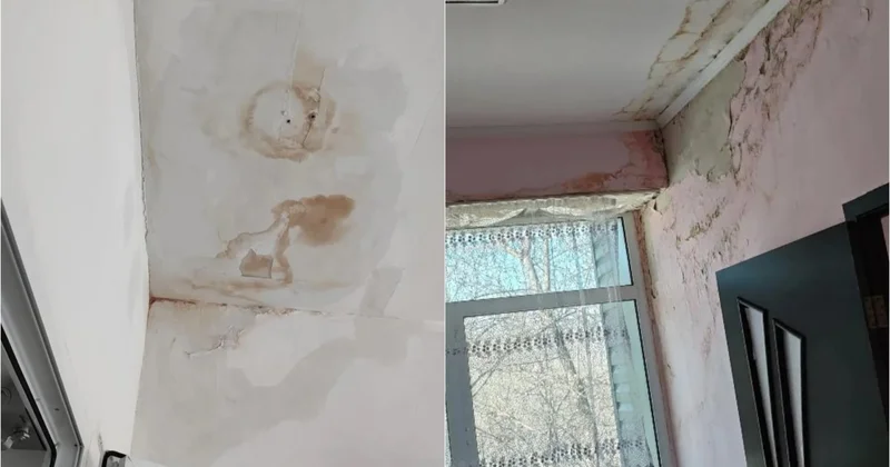 Плесень, холод и протечки: родители бьют тревогу из за состояния детской больницы в Темиртау