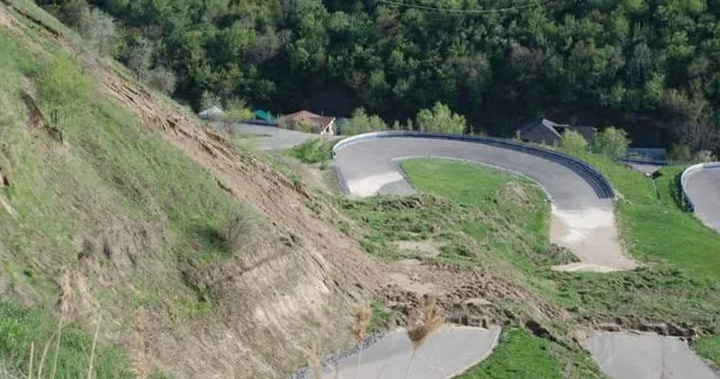 Көкжайлауға баратын жол үшін Алматы тауларында 2,2 мың ағаш кесіледі