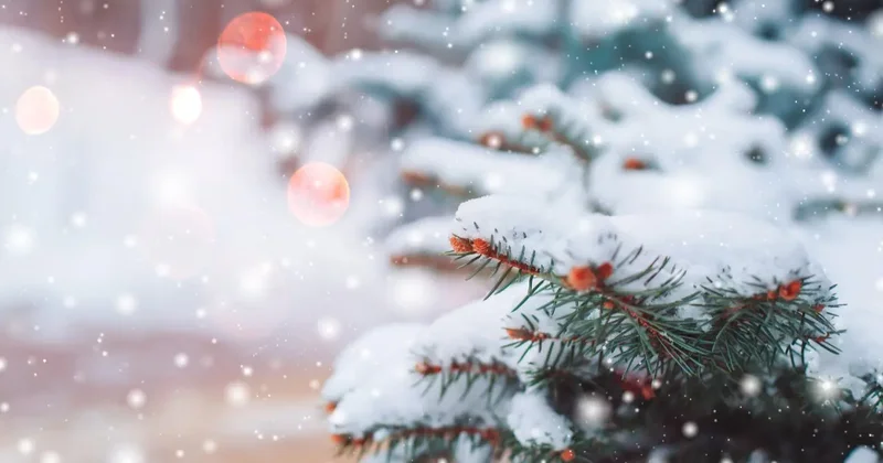 +20 на юге и 23 на севере: какой будет погода в Казахстане в ближайшие дни