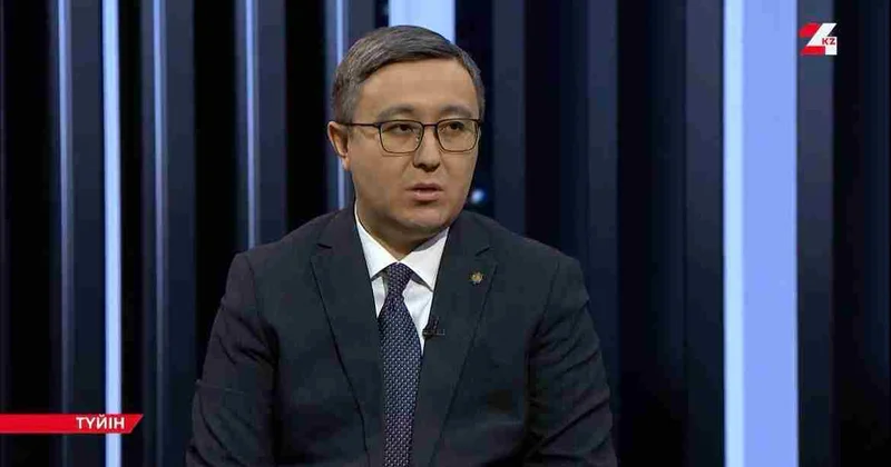 ЗАҢСЫЗ КІРІС: 850 қазақстандық блогерден 500 млн теңге салық өндірді