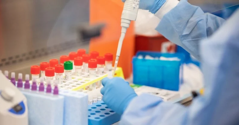 Өзбек ұлтының популяциясына кеңейтілген геномдық зерттеу жүргізіледі