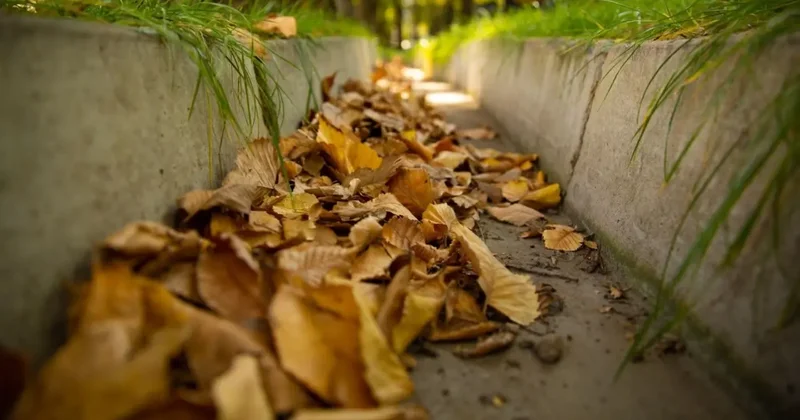 "Пока справляется". В Алматы не планируют расширять сеть арыков