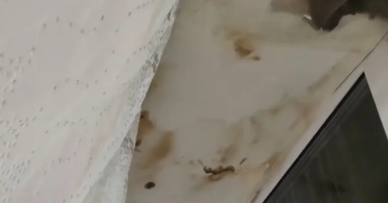 Везде плесень: в сети появилось видео из детской больницы Темиртау