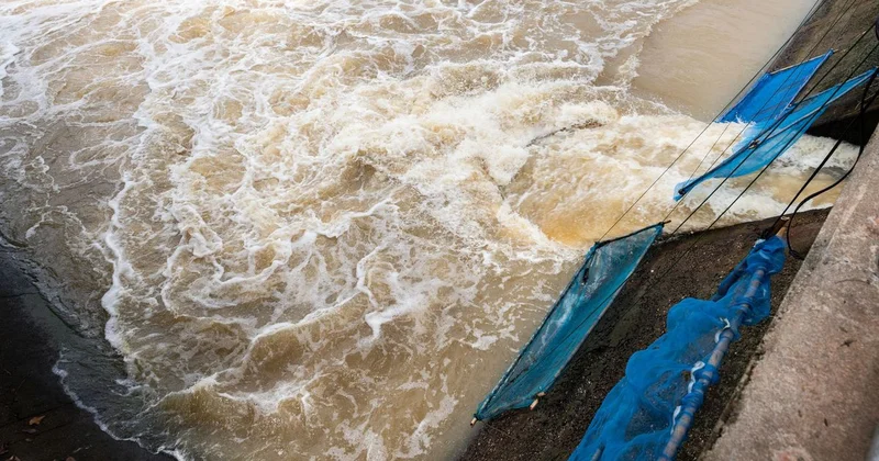 Разрушены 40 метров: нелегальные добытчики повредили дамбу за 2,7 млрд тенге в Шымкенте