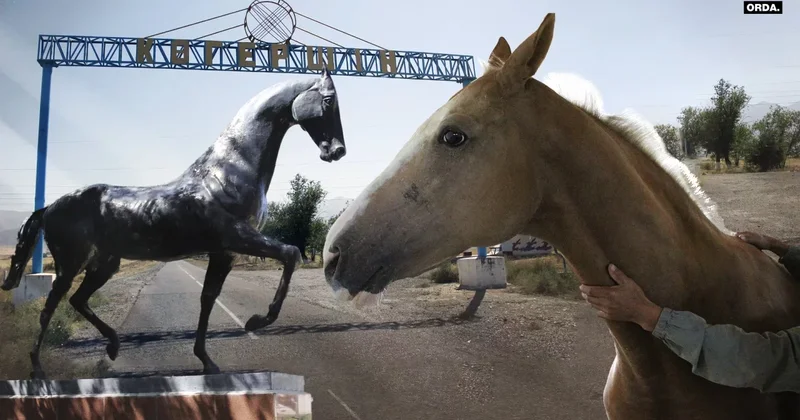 Дело Луговского конезавода Абыкаевых: 892 млн тенге так и не вернули бывшему директору