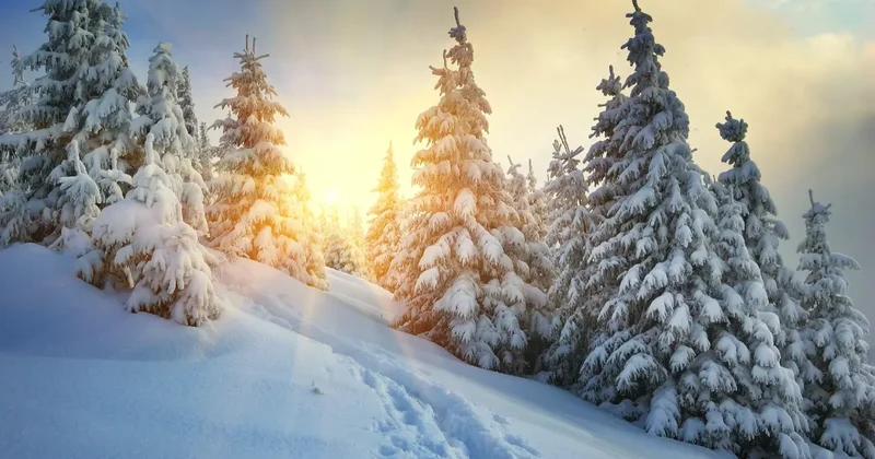 Когда уберут блокпосты в горах Алматы, установленные из за угрозы схода лавин