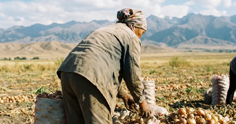 Жамбыл облысында “өлдіге балап, жерленген“ әйел бір айдан соң үйіне оралды