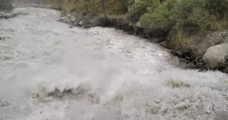 Шымкентте бөгет бүлінді: полиция күдіктілерді іздеп жатыр