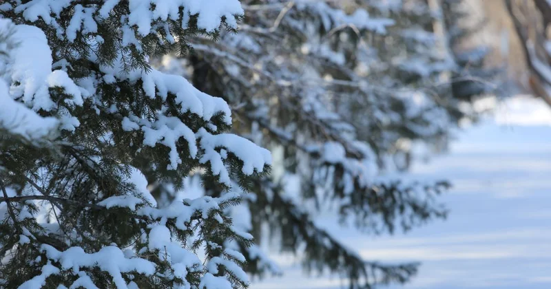 Циклон с Уральских гор и антициклон с Хельсинки определят погоду в Казахстане