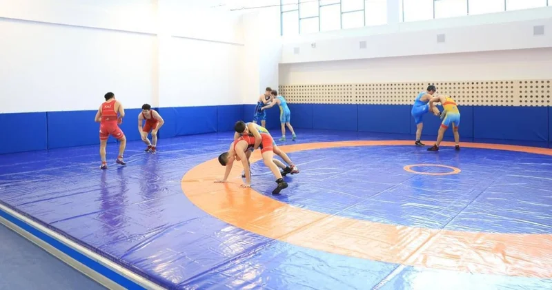 Алматы облысында қайтарылған активтер есебінен 1,1 млрд теңгеге спорт кешені салынады