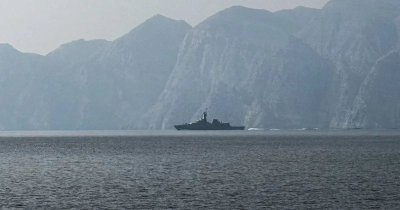 Некоторые страны отказались направить военных в Ормузский пролив, несмотря на просьбы Трампа