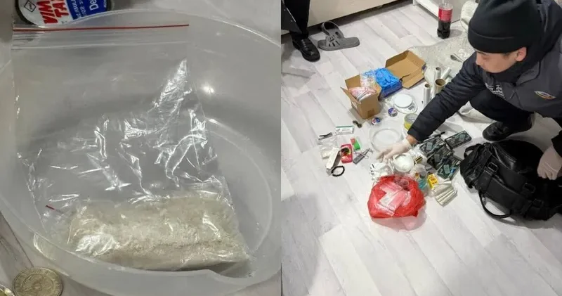 Қарағандыда қызметтік иттің көмегімен синтетиканың ірі партиясы тәркіленді