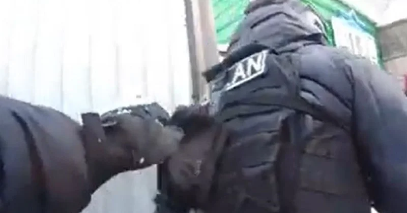 Всем лежать! : спецназ ворвался в дом жителя СКО после его поездки в Астану (видео)