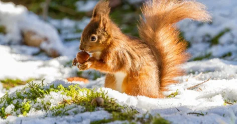Погода без осадков установится на большей части Казахстана