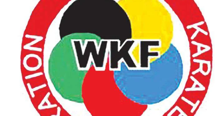 Каратэ высшей пробы