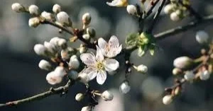 Күн 20 градусқа дейін жылынады