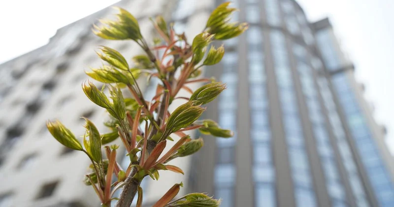 Температура выше нормы : какая погода ожидается по Казахстану в апреле