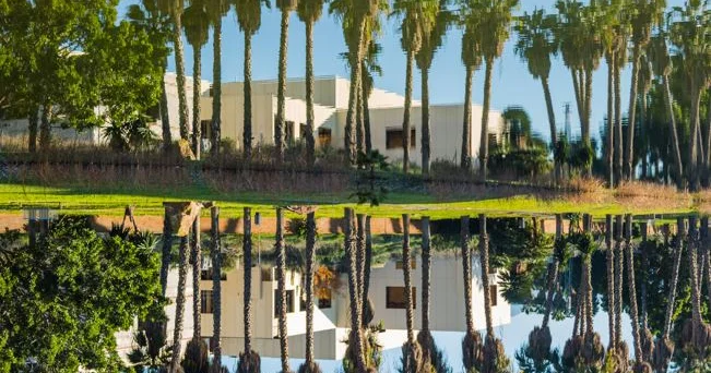 Флорида тұрғыны ChatGPT дің көмегімен үйін 5 күнде сатқан