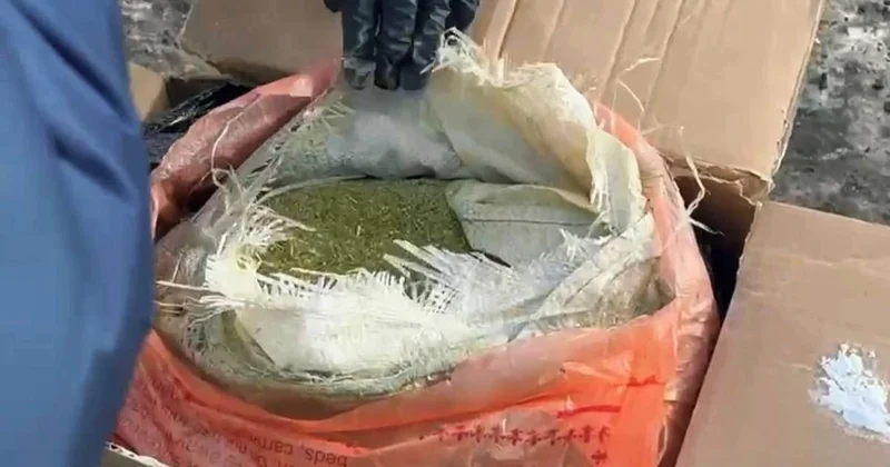 Павлодар облысында заңсыз айналымнан аса ірі мөлшерде есірткі заты тәркіленді