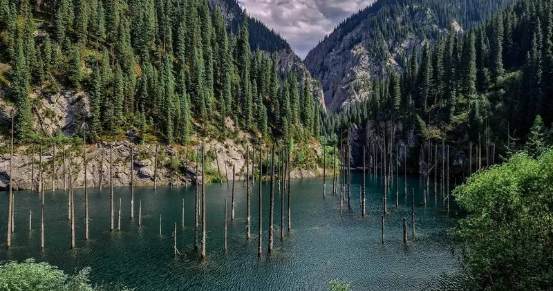 Қазақстан президенті туристік сала мен балалар спортын қолдауға арналған заңға қол қойды