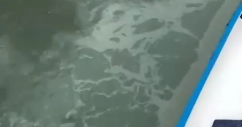 Тұрғындар дабыл қақты: Ертіс өзенінің жылы ағысы мұнай өнімдерімен ластануы мүмкін