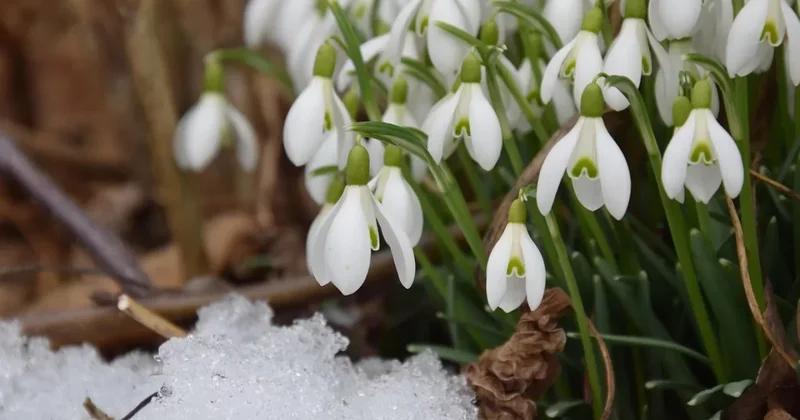 До +20 градусов: в Казахстане ожидается новое потепление