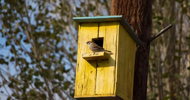 Гололёд и мокрый снег: какой погода будет в апреле в Алматы и Астане