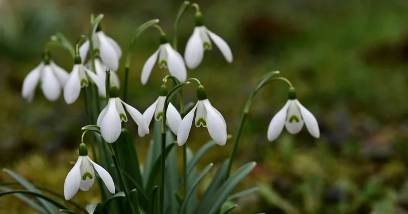 Контрасты весны: до плюс 20 градусов потеплеет в Казахстане
